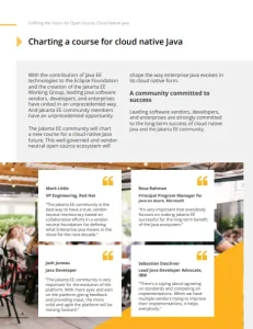 cloud native java ebook